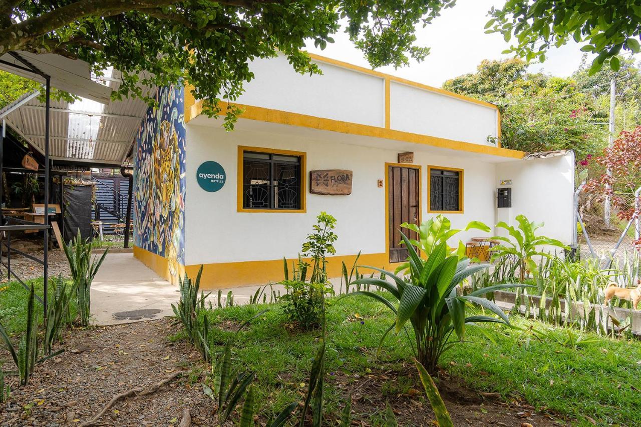 Ayenda Flora Jaguar Bed & Breakfast อีบาเก ภายนอก รูปภาพ